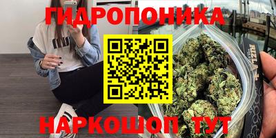 прущие крисы Ливны