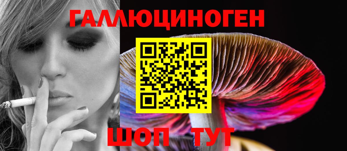 магазин    Псилоцибиновые грибы мицелий  Вход с VPN  Избербаш 
